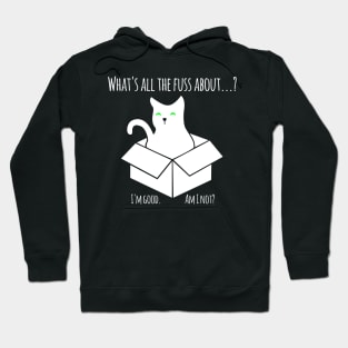 What came first, the cat or the box? Hoodie